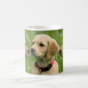 Süße Welpen-Mama-Hundeliebhaber-Geschenk Golden Re Kaffeetasse