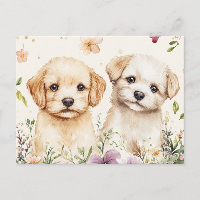Süße Welpen Postkarte (Vorderseite)