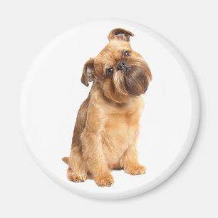 Süße Welpenliebhaber Brussels Griffon Magnet