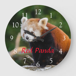 Süße wilde Rote-Panda-Natur-Foto rote Schrift Große Wanduhr