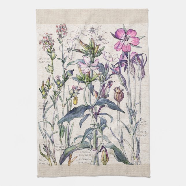 Süße William-Wildblumen-Blumen-Küchen-Tücher Handtuch (Vertikal)