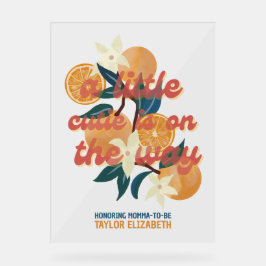 Süssen Babydusche Acrylschild