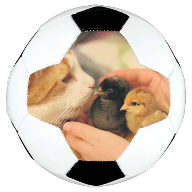 Süssen Fußball (Vorderseite)