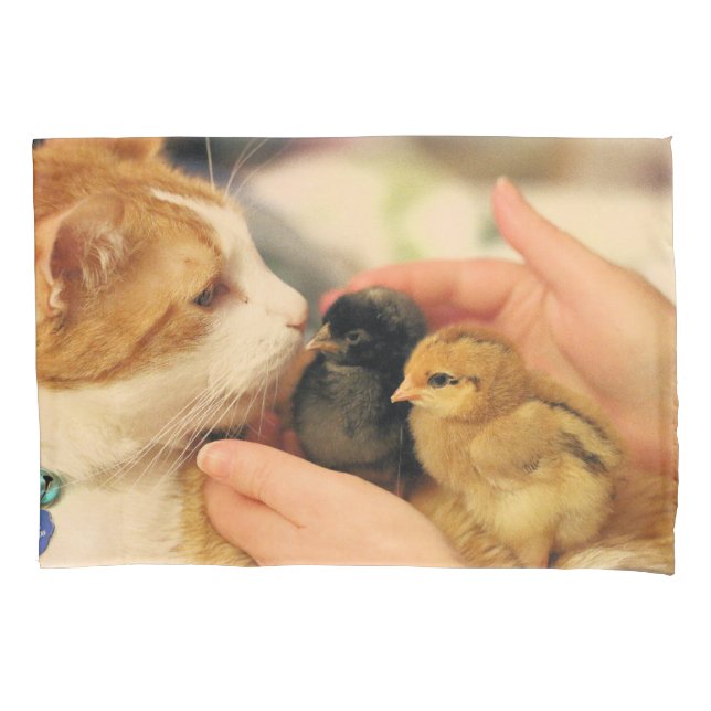 Süssen Kissenbezug (Vorderseite)