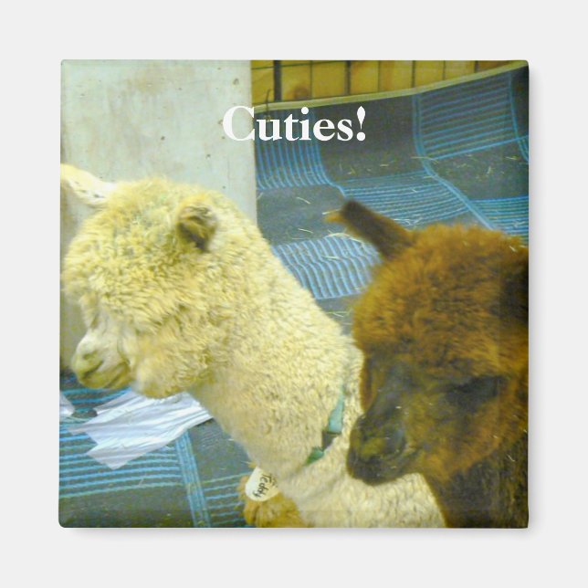 Süssen! Magnet (Vorne)