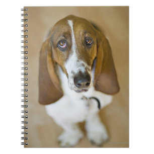 Süßer Basset-Jagdhund Notizblock