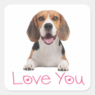 Süßer Beagle-Hundeliebhaber Rosa Herzen Liebt dich Quadratischer Aufkleber