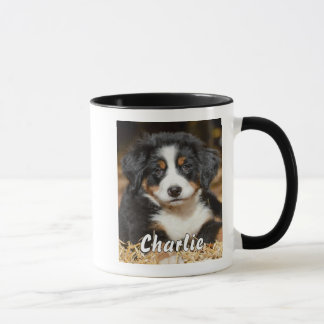 Süßer Berner Welpe Name Foto schwarzer Akzent Tasse