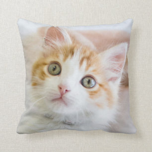 Süßer blauer mit Augen Kitty Kissen