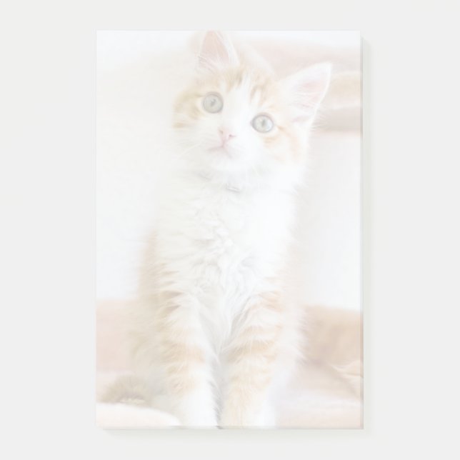 Süßer blauer mit Augen Kitty Post-it Klebezettel (Vorderseite)
