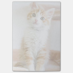 Süßer blauer mit Augen Kitty Post-it Klebezettel