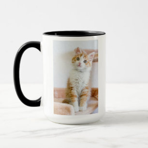 Süßer blauer mit Augen Kitty Tasse