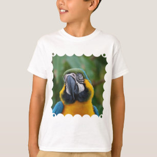 Süßer Blauund GoldMacaw T-Shirt