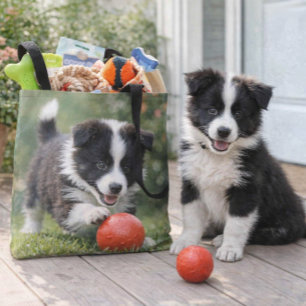 Süßer Border Collie-Hundefan  Tasche