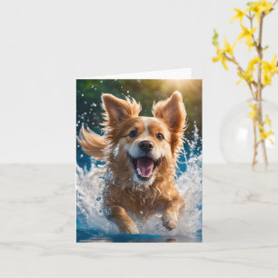Süßer braun-weißer Hund plantscht im Wasser Leer Karte