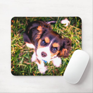 Süßer brauner und weißer wütender Welpe Mousepad