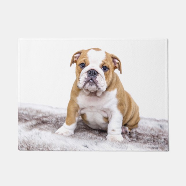 Süßer Bulldoggen-Welpe Fußmatte (Vorderseite)
