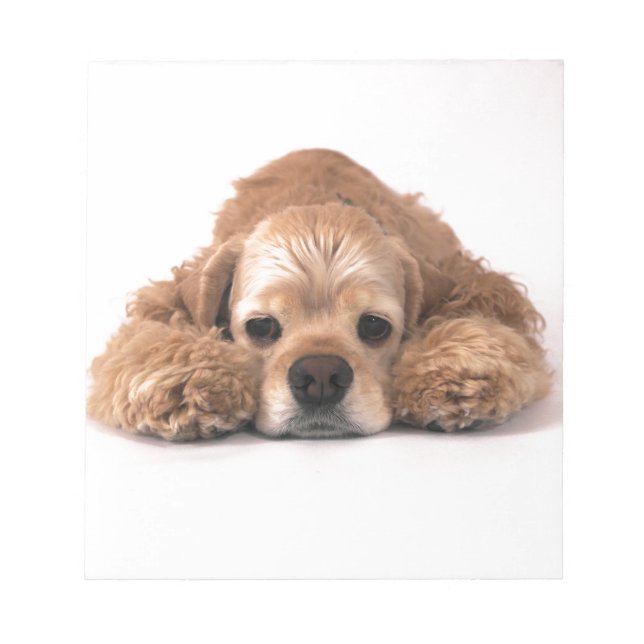 Süßer Cocker Spaniel Notizblock (Vorderseite)