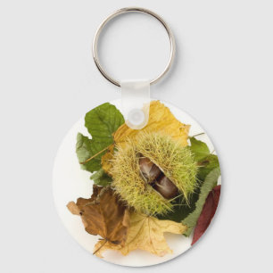 Süßer Conker mit Blätter Schlüsselanhänger
