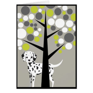 Süßer Dalmation