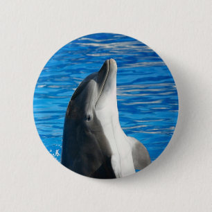Süßer Delfin Strand Frieden Liebe Party Schicksal Button