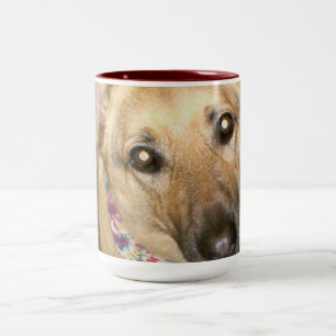 Süßer Deutscher Schäferhund Schwarz Tan Nahaufnahm Zweifarbige Tasse