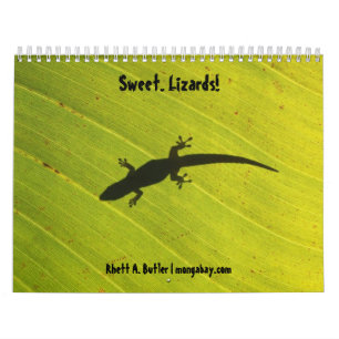 Süßer Eidechsenkalender Kalender