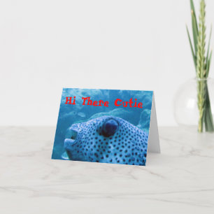 Süßer Fisch Notizkarte Karte