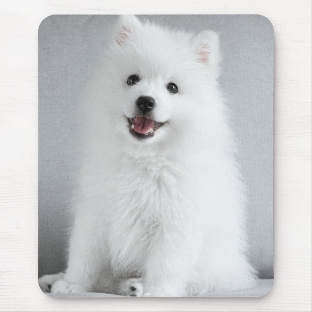 Süßer flauschiger japanischer Spitz-Welpe Mousepad (Vorne)