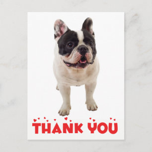 Süßer Französischer Bulldogge Danke Frenchie Welpe Postkarte