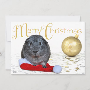 Süßer Froher Weihnachten Meerschweinchen Gold Schm