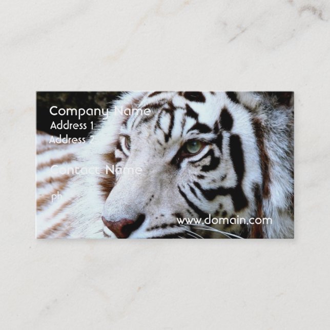 Süßer gegenübergestellter weißer Tiger Visitenkarte (Vorderseite)