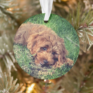Süßer Golden Doodle Weihnachtsschmuck Ornament