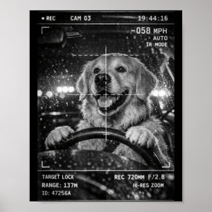 Süßer Golden Retriever fährt Auto Tierwitz Poster