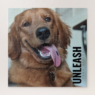 Süßer Golden Retriever | Originale Hunde-Fotografi