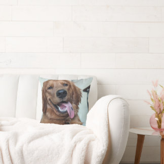 Süßer Golden Retriever | Originale Hunde-Fotografi Kissen