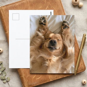 Süßer Golden Retriever Schlafender Hund Pfoten Postkarte