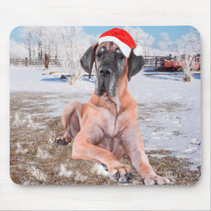 Süßer Great Dane Hund sitzt im Schnee Weihnachtsmü Mousepad