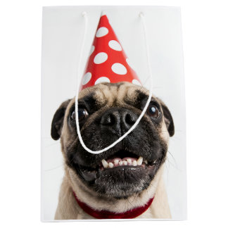Süßer Happy-Birthday-Mops mit roter Partyhut Mittlere Geschenktüte