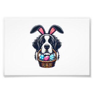 Süßer Hasenohren-Sankt-Bernhard-Hund-Ostern-Ei-Bes Fotodruck