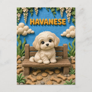 Süßer Havanese-Welpe, Babyhund Postkarte