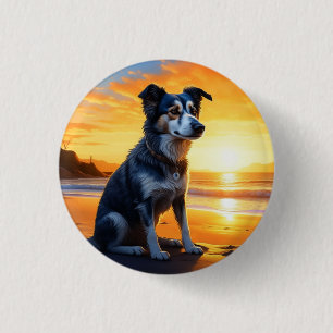 Süßer Hund am Strand bei Sonnenuntergang  Button