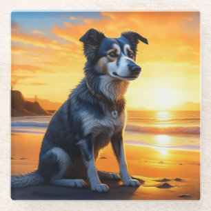 Süßer Hund am Strand bei Sonnenuntergang  Glasuntersetzer