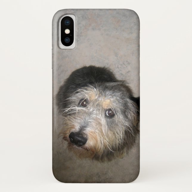 Süßer Hund Case-Mate iPhone Hülle (Rückseite)