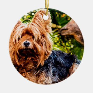 Süßer Hund Haustier Yorkie Frieden Liebe Schicksal Keramikornament