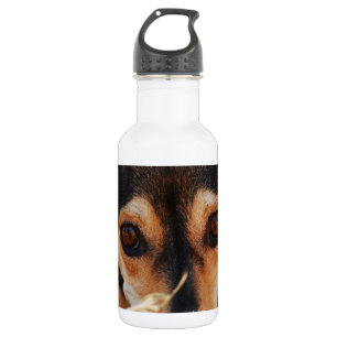 Süßer Hund im Heu Edelstahlflasche