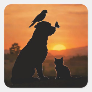 Süßer Hund, Katze, Vogel und Schmetterling bei Son Quadratischer Aufkleber