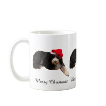 Süßer Hund mit Santa-Hut an Weihnachten