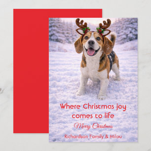 Süßer Hund Weihnachten Süße Zitate Weihnachtskar