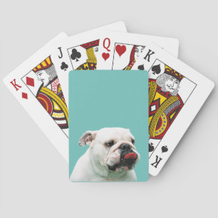 Süßer Hund weißer Bulldogge Spielkarten